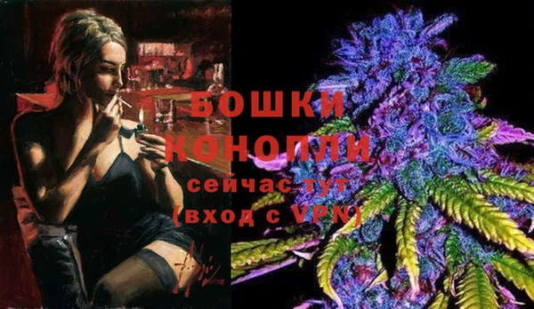 прущие крисы Вязьма